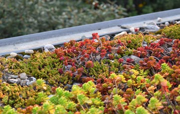 the cost of Llansadwrn green roof installation