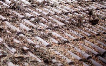 Llansadwrn roof cleaning companies