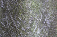 Llansadwrn fibreglass roof work